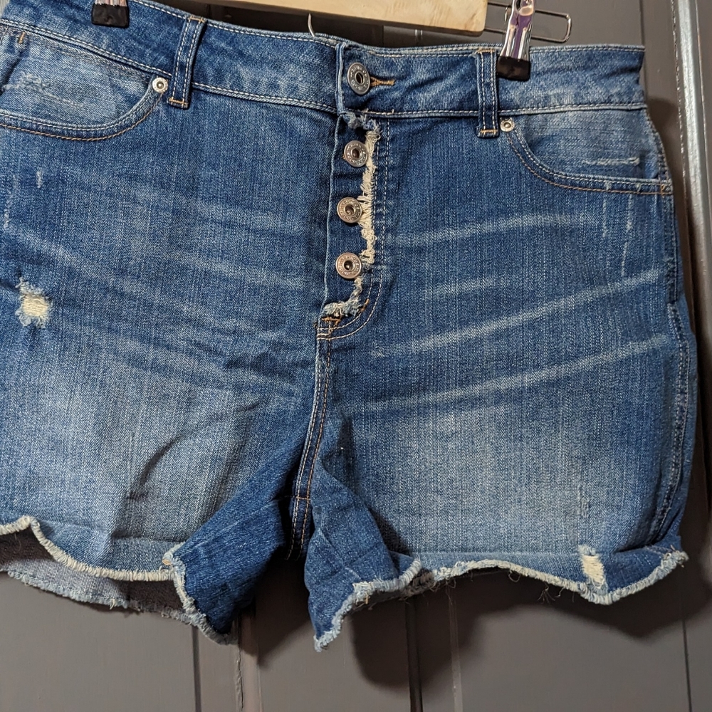 Maurices shorts